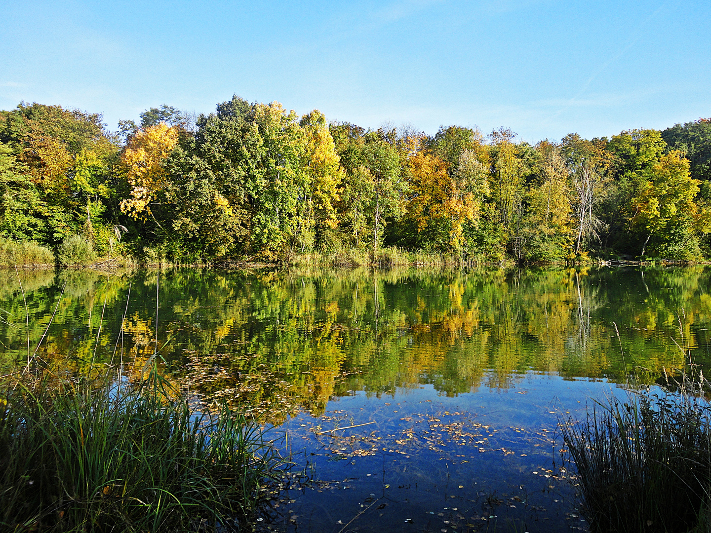 Kleiner Weiher von Mechtersheim