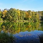 Kleiner Weiher von Mechtersheim