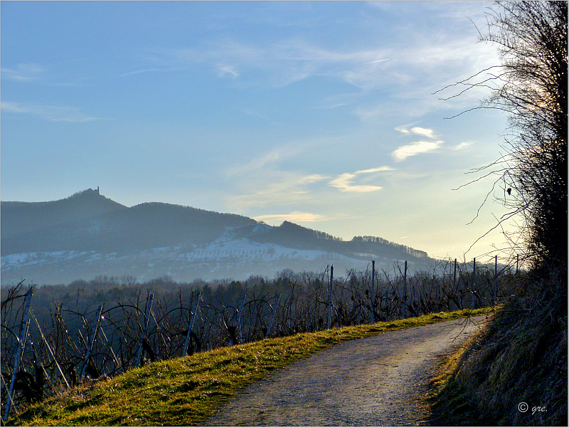 Kleiner Weinberg**