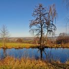 Kleiner Wiesenteich oberhalb des erzgebirgischen Weißbachs (1)