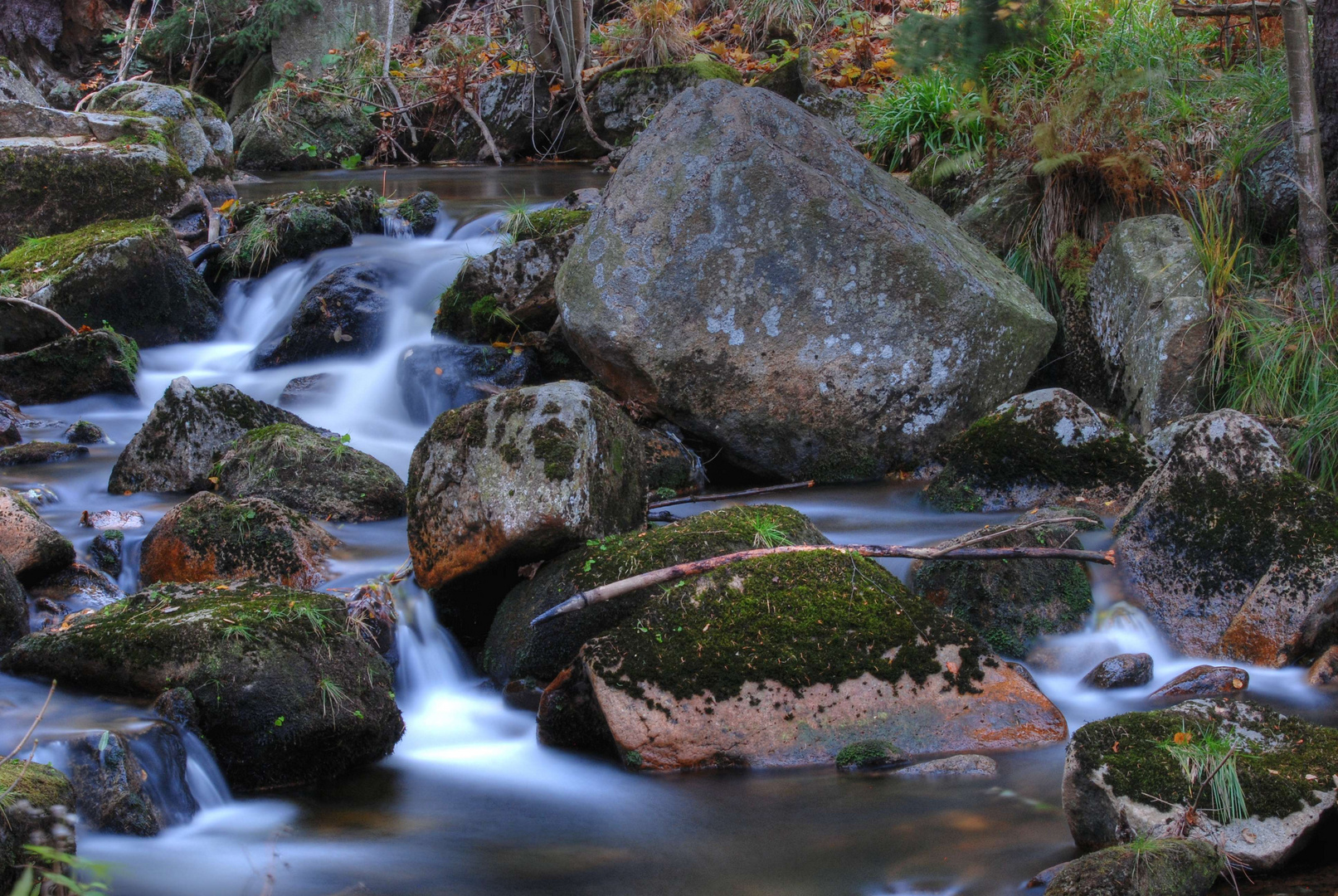 kleiner Wildbach