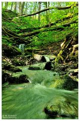 - Kleiner Wildbach 2 -