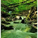 - Kleiner Wildbach 2 -