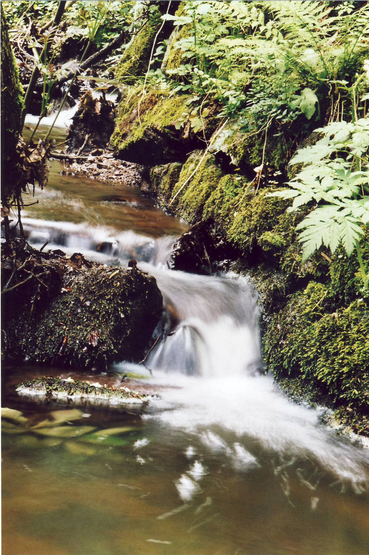 kleiner Wildbach