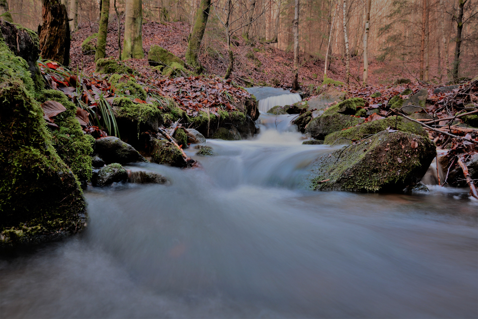 Kleiner Wildbach!