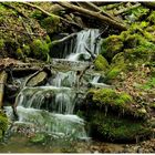 - Kleiner Wildbach -