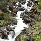 Kleiner Wildbach in Böckstein Ö