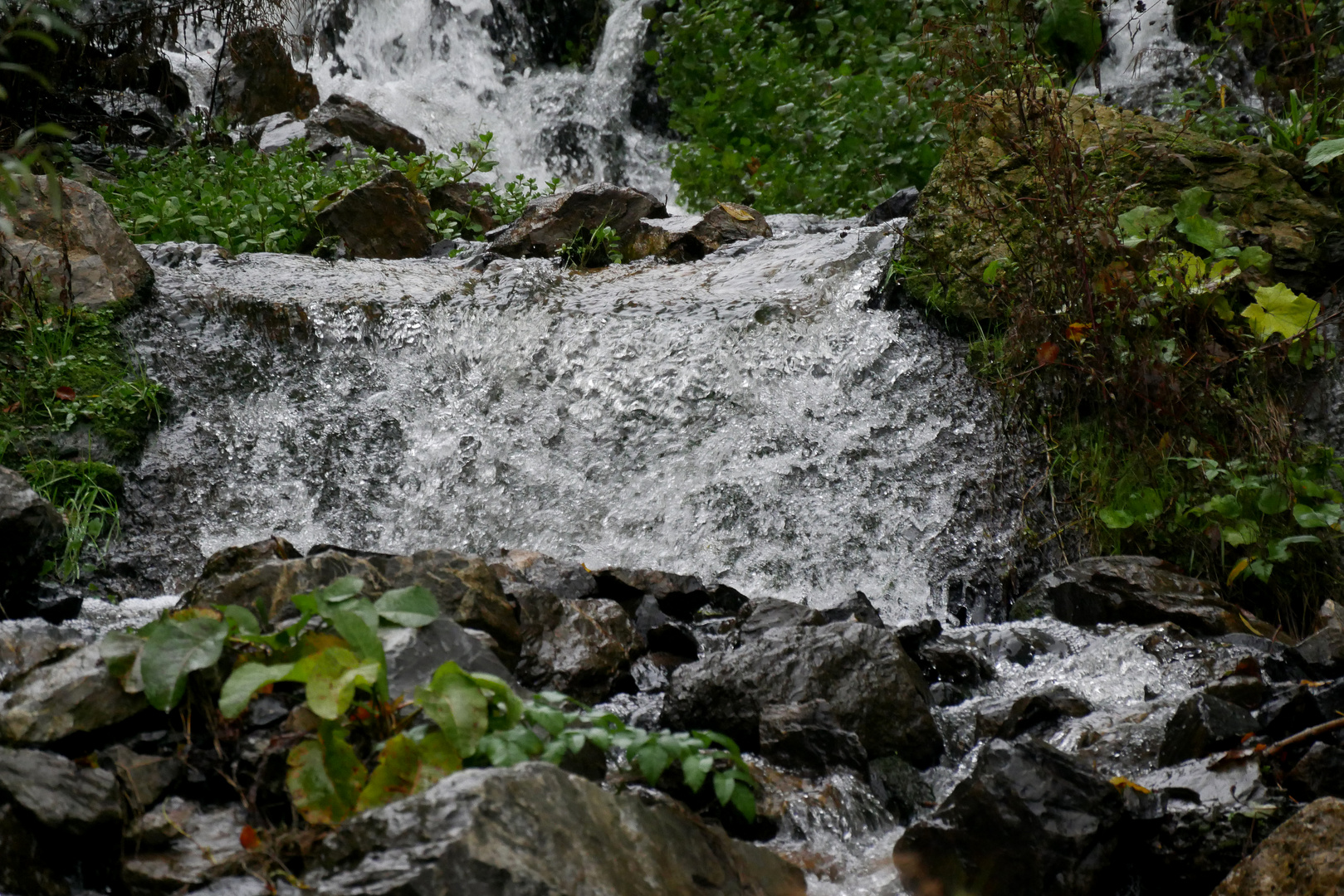 Kleiner Wildbach in Tönisheide