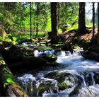 ---- Kleiner Wildbach Nr.1 ----