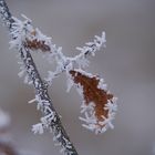 Kleiner Winter inBerlin