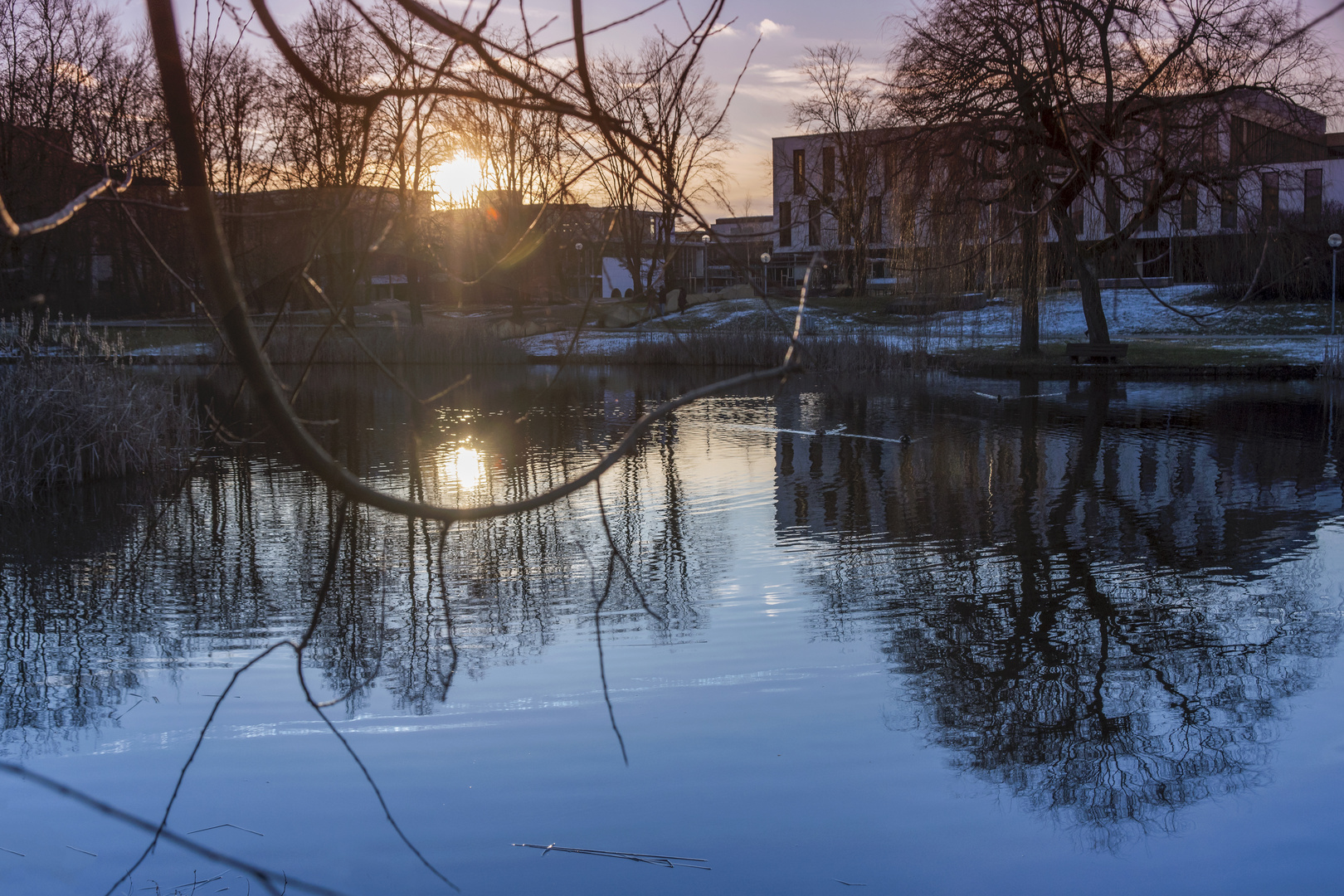 Kleiner Winterspaziergang (4)