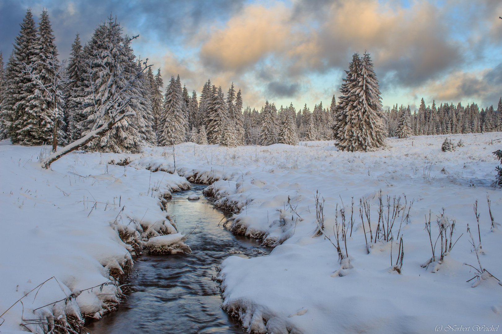 Kleiner Wintertraum