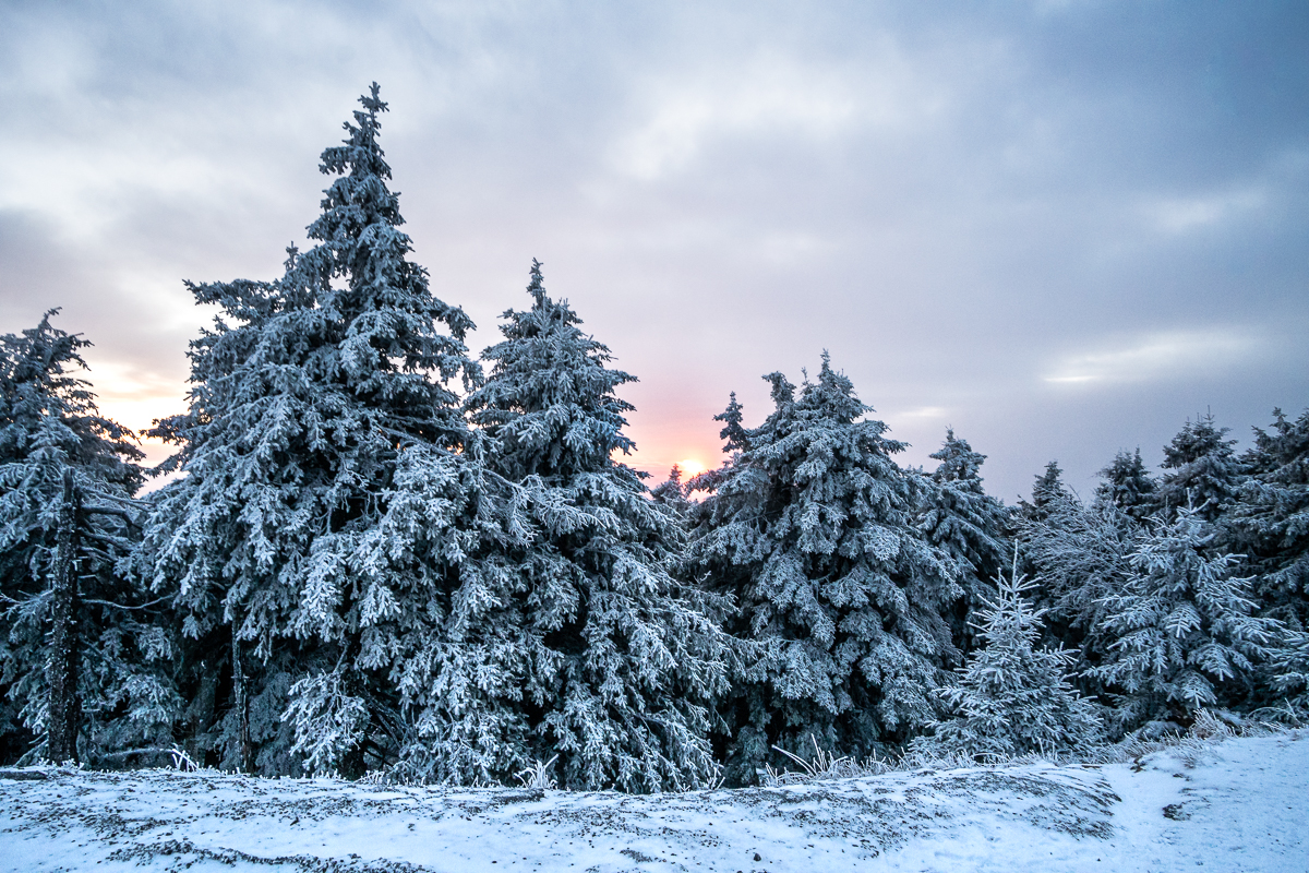 Kleiner Winterzauber