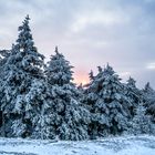 Kleiner Winterzauber