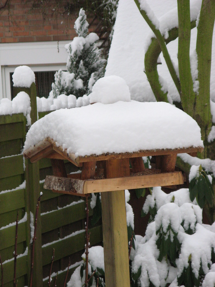 Kleiner Winterzauber im Garten