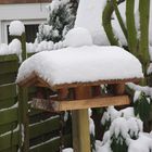 Kleiner Winterzauber im Garten