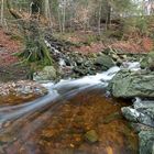 Kleiner zulauf in den Ternellbach