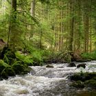 kleiner Zulauf zur Alb