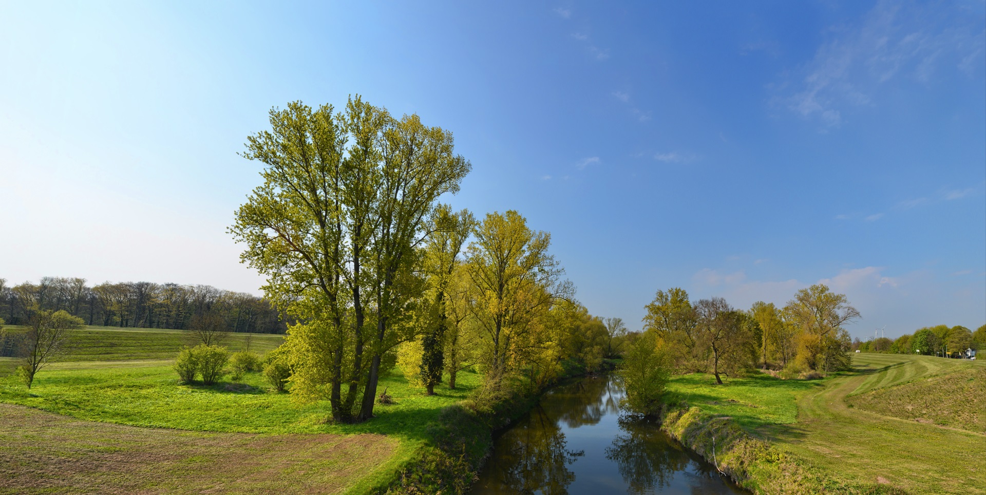 Kleiner Zulauf zur Mulde