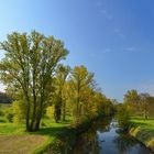 Kleiner Zulauf zur Mulde