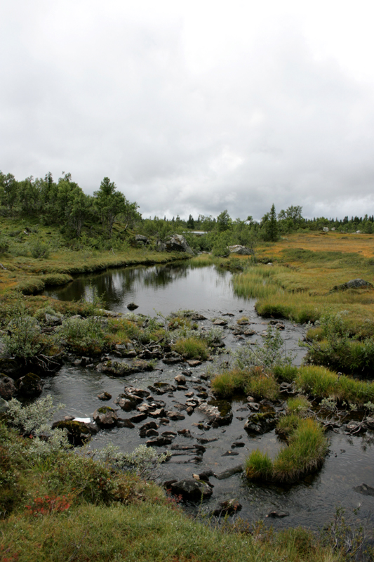 kleinere Gewässer in Schweden