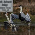 Kleinere Missverständnisse