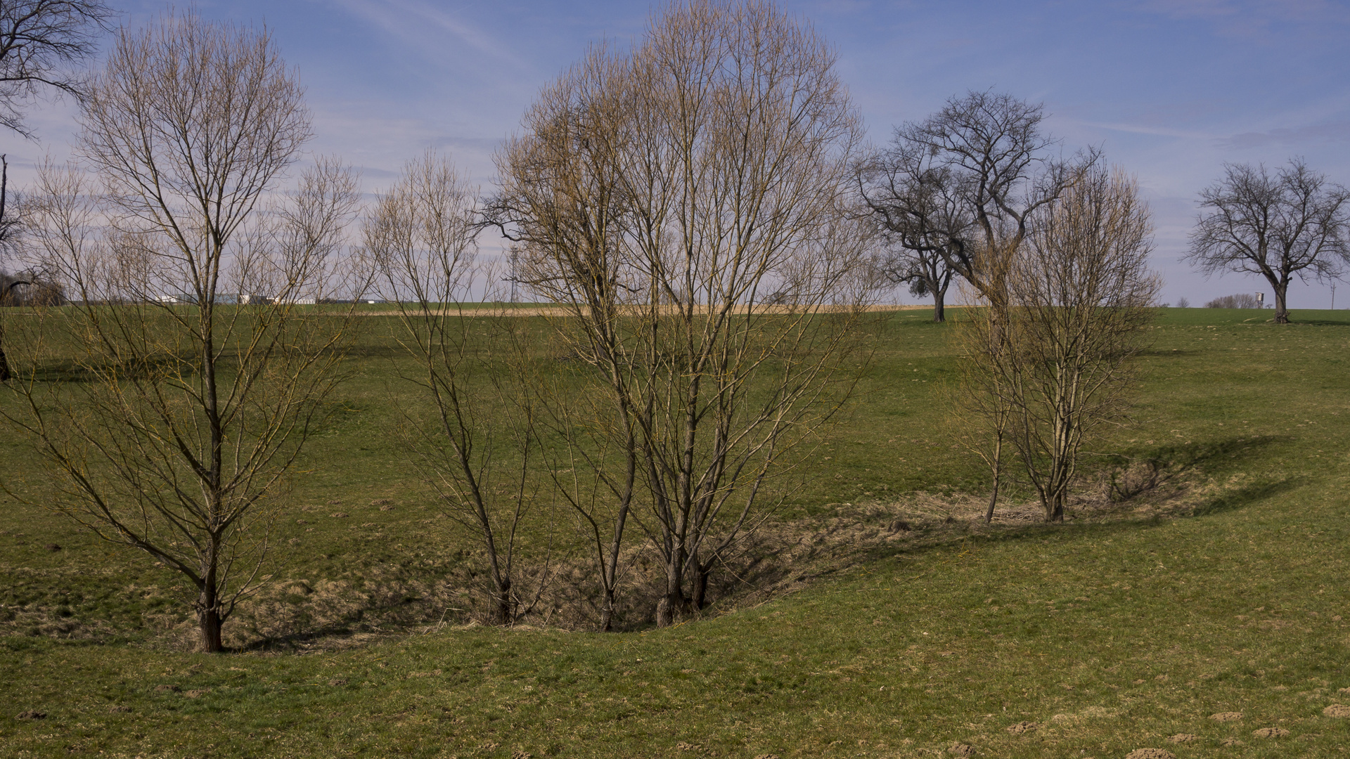 Kleinere Senken im Dolinenfeld