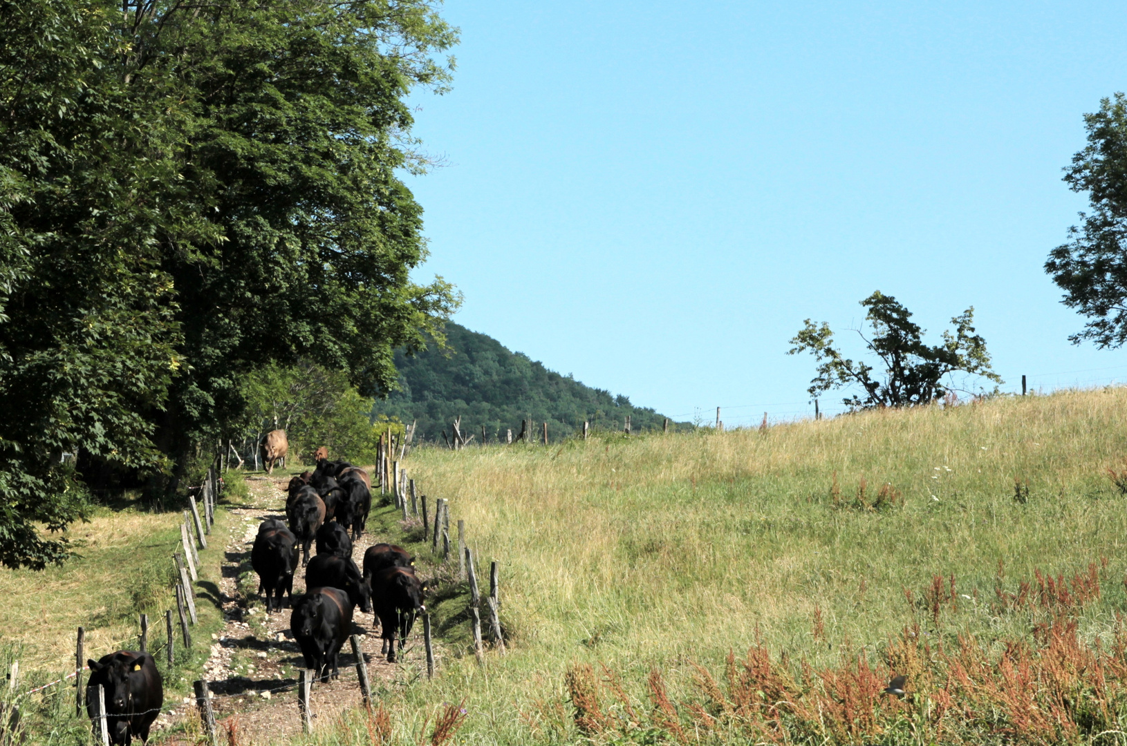 kleines Allgäu