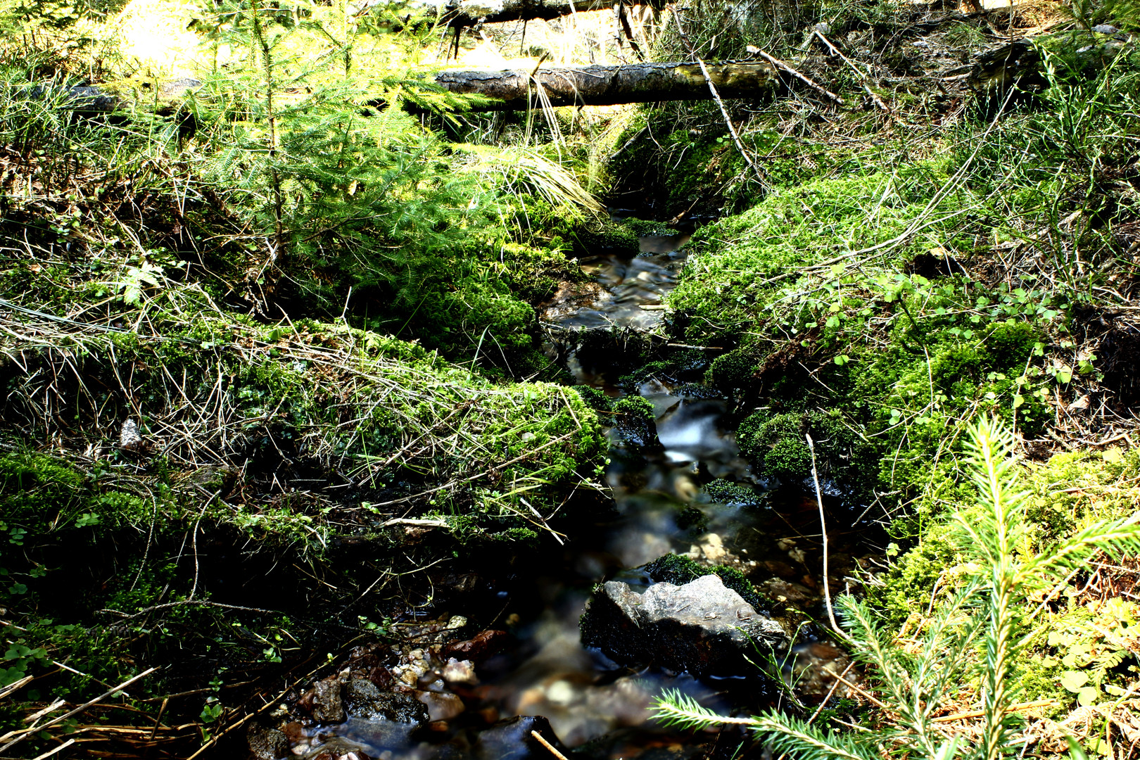 kleines Bächle am Blauen Stein