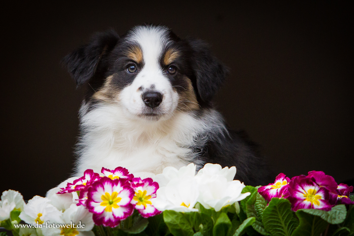 *kleines Blumenmädchen*