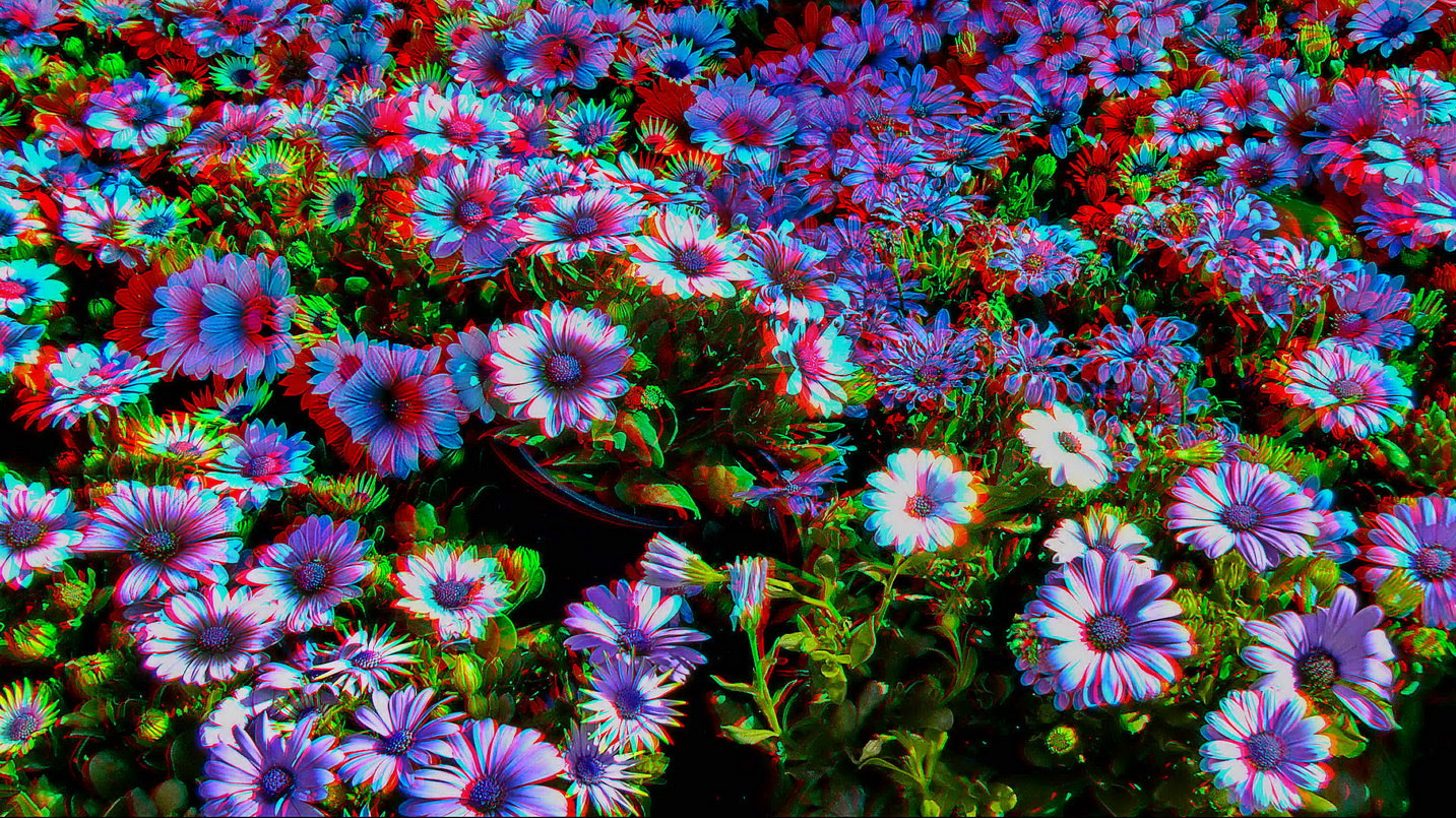 kleines Blumenmeer in 3D