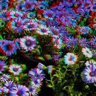 kleines Blumenmeer in 3D