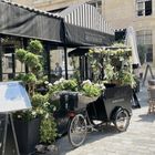 Kleines Café in Paris
