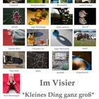 *Kleines Ding ganz groß* Collage von aeschlih