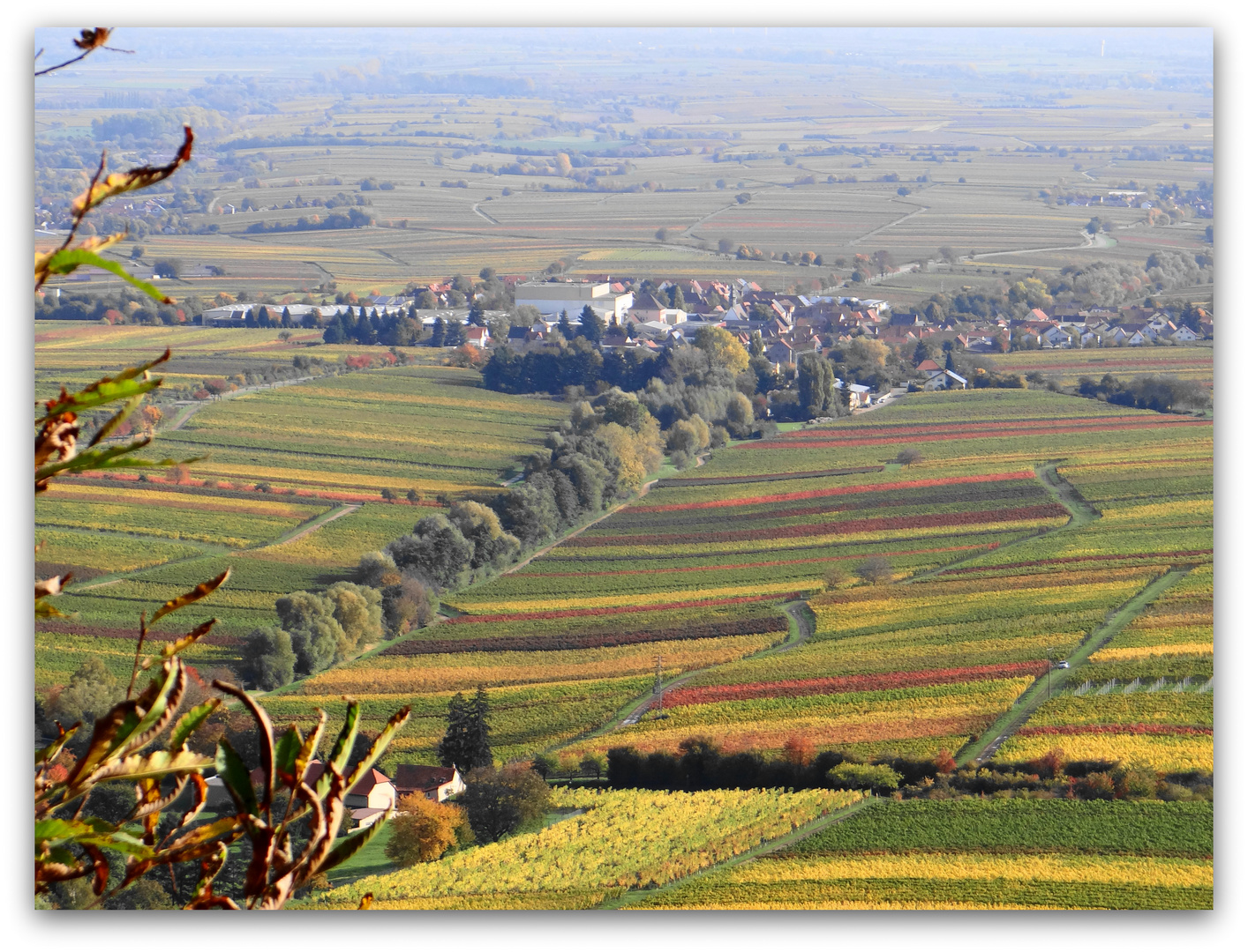 Kleines Dorf im herbstlichen Rebenmeer