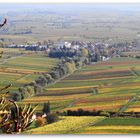 Kleines Dorf im herbstlichen Rebenmeer