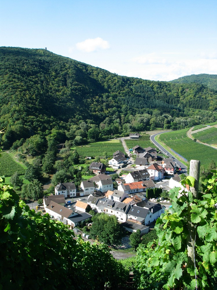 Kleines Dorf Mit Grossem Herzen Foto Bild Deutschland Europe Rheinland Pfalz Bilder Auf Fotocommunity