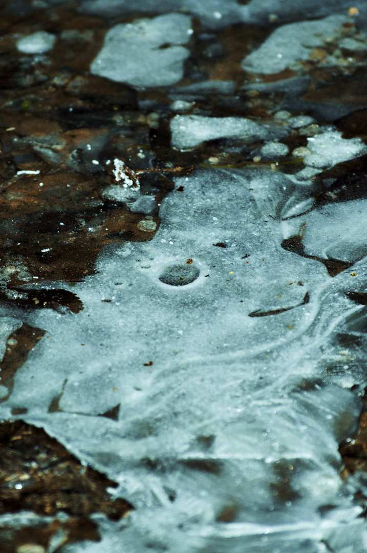 Kleines Eisgeistchen freut sich über Väterchen Frost .......