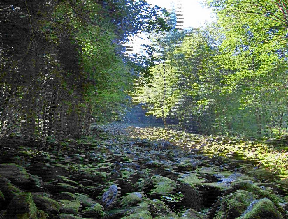 Kleines Felsenmeer im Odenwald