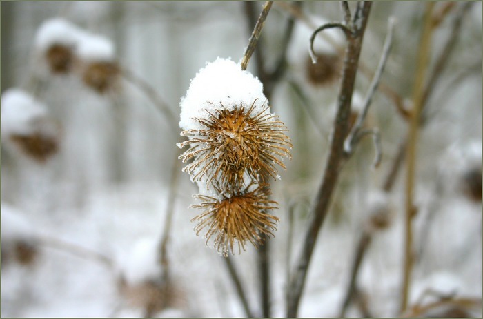 Kleines Feuerwerk im Schnee. . . . . . . . . .