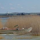 Kleines Fischerboot auf dem Ferring Sø in Midtjylland (DK)