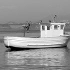 Kleines Fischerboot vor Procida