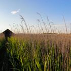 Kleines Fischerhaus mitten im Federsee