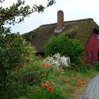 Kleines Häuschen auf Fehmarn