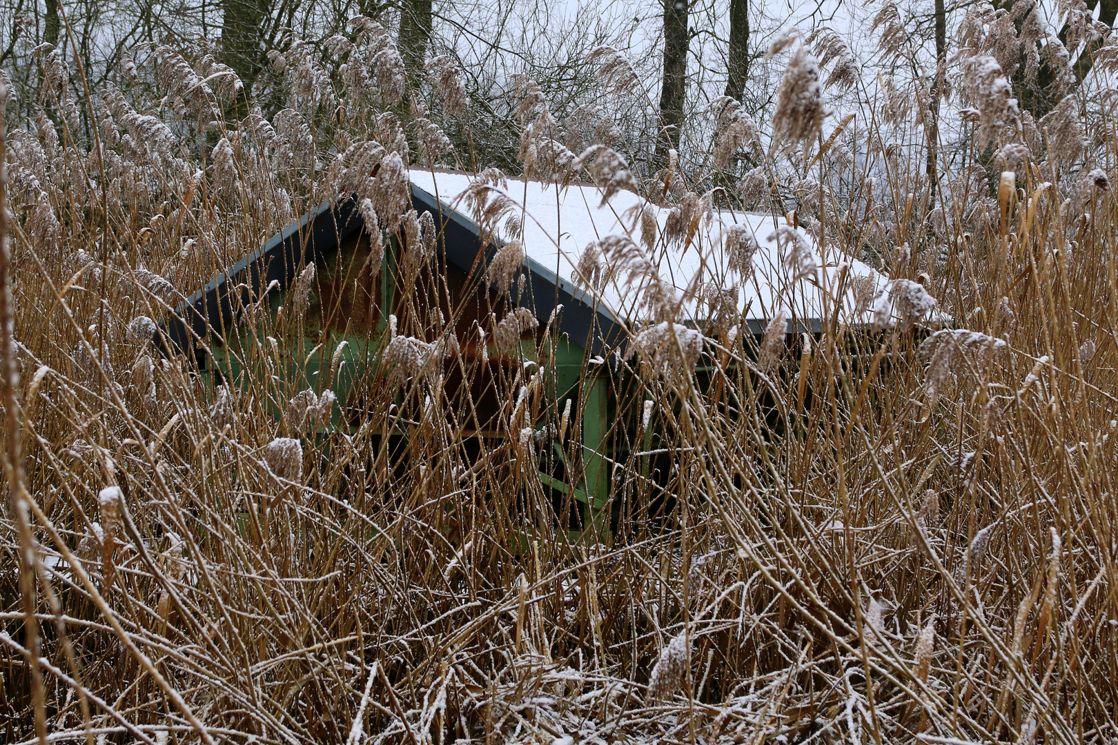 ...kleines Haus am See,...