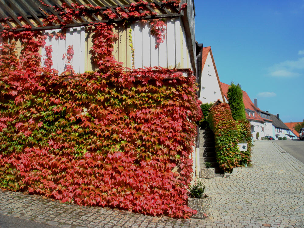 kleines Haus am See