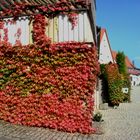 kleines Haus am See