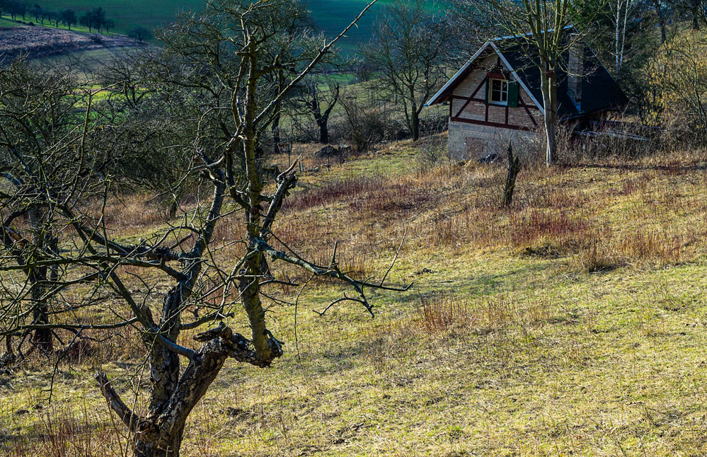 kleines Haus am Wald