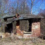 kleines haus am wald