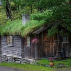 kleines Haus am Wald